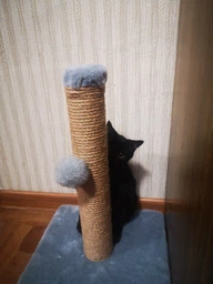 Дряпка для кота Мур-Мяу Малюк 30х30х42 см для маленьких кошенят у джутовій мотузці Сірий фото від покупців 18