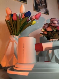 Відпарювач Deerma Garment Steamer 2in1 (DEM-HS200) фото від покупців 5