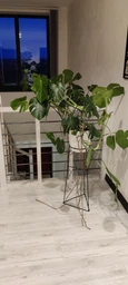 Комплект металлических подставок для цветов и вазонов Adore Décor "Скандинавские", черный фото от покупателей 3