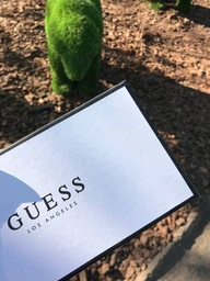 Жіночий гаманець Guess Lolli 863 Червоний (2000029517037) фото від покупців 2