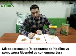 Микроклевер PIPOLINA DLF Trifolium 450 г фото от покупателей 8