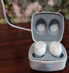 Наушники Motorola MOTO BUDS 105 White TWS (BUDS105-W) фото от покупателей 6