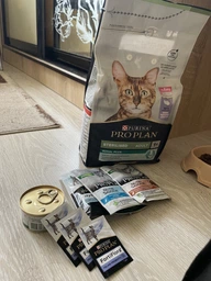 Вологий корм для стерилізованих котів Purina Pro Plan Sterilised Пуріна Проплан з яловичиною в підливці пауч 85 г 26 шт (7613036092883) фото от покупателей 11