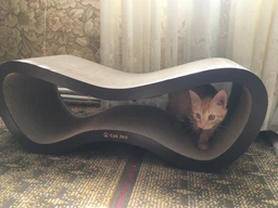 Когтеточка из картона усиленного с деревянным фасадом Cat Joy Fusion Beige 77x29x29 см фото от покупателей 8