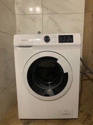 Стиральная машина Gorenje WHP60SF/UA фото от покупателей 15