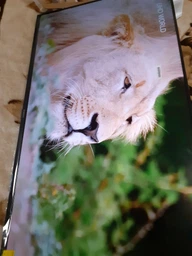 Телевізор Xiaomi TV A2 55" UA [76199] фото від покупців 11