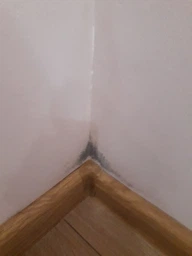 Засіб для видалення цвілі Astonish Mould&Mildew Stain Blaster 750 мл фото від покупців 15