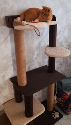 Котяча когтеточка дряпалка велика лежанка Річард 135х60х40см коричнево білий фото від покупців 3