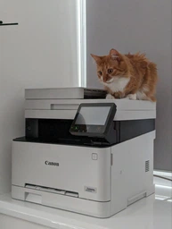 Лазерное МФУ CANON i-SENSYS MF655Cdw (5158C004AA) фото от покупателей 5