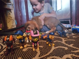 Игровой набор Paw Patrol Щенячий патруль 7 шт 8.5-10 см см фото от покупателей 13