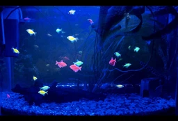 LED светильник Xilong T4-40E Blue 3Вт 35 см Синий