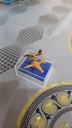 Значок Clivedon Су-25 Frogfoot Сріблястий фото від покупців 2