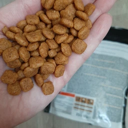 Сухий корм для котів при захворюваннях нірок Pro Plan Veterinary Diets NF Renal Function Advanced 1,5 кг фото від покупців 2