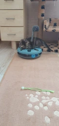 Іграшка для котів Trixie Трек ігровий з мишкою «Crazy Circle» d:24 см, h:29 см
