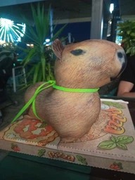 Мягкая игрушка антистресс WONKEY Капибара Егор 30см 33056 фото от покупателей 11