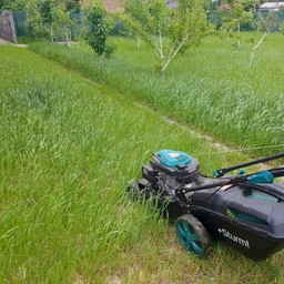 Насіння Green Home газонна трава Ліліпут 24 кг фото від покупців 3