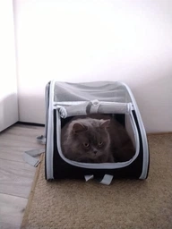 Рюкзак-переноска для собак и кошек, щенков и котят, полностью вентилируемая сетка фото от покупателей 7