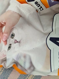 Cухий корм для котів з куркою Club 4 Paws Клуб 4 Лапи для здоров'я сечовивідної системи 2 кг (4820215369411) фото от покупателей 5