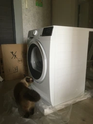 Сушильная машина Electrolux - EW6C428WU фото от покупателей 3