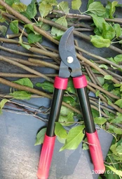 Сучкорез Vitals LS-380-01 (123169)