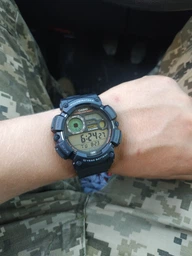 Чоловічі наручні годинники Casio WS-1500H-2AVEF