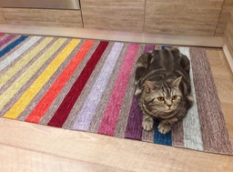 Килим Soft Velour 39 75x160 фото від покупців 7