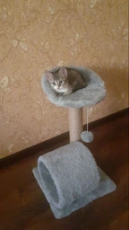 Кігтеточка для маленьких кошенят Мур-Мяу Котейка 30х30х54 см дряпка у джутовій мотузці Бежевий МТК фото від покупців 14