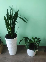 Горщик для квітів Kumsal 5,5 л білий Serinova