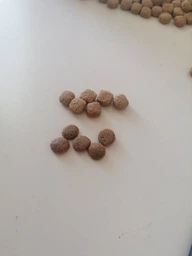 Сухой корм Royal Canin Gastrointestinal Low Fat Dog диетический для собак при расстройствах пищеварения 3кг фото от покупателей 7