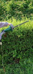 Кусторез электрический Bosch EasyHedgeCut 55 (0600847C02) фото от покупателей 2
