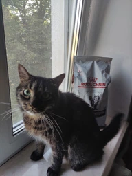 Корм для кошек Royal Canin Gastrointestinal при расстройствах пищеварения, 4 кг фото от покупателей 10