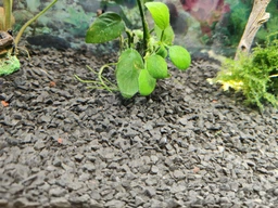 Грунт для акваріума 2-5 мм Nechay Zoo «Чорний кристал» 10 кг фото від покупців 11