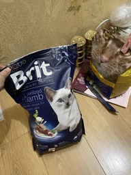 Сухий корм з ягням Brit Premium Sterilized Lamb Бріт Преміум для стерилізованих котів 8 кг + наповнювач в подарунок (8595602553242) фото от покупателей 8