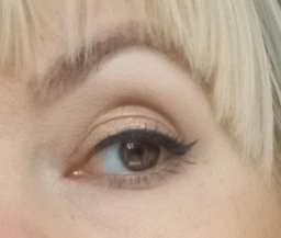 Подводка для глаз L'Oreal Paris Grip Matte Черная 3 мл (30175228)