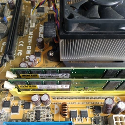 Оперативна пам'ять DDR2-800 4Gb для систем AMD PC2-6400 AVIS AD2F800AM2/4 4096MB (770008509) фото від покупців 4