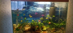 Средство по уходу за водой Tetra Aqua Easy Balance для поддержки параметров воды 100 мл на 400 л (4004218767911) фото от покупателей 6