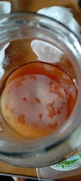 Продукт Чайний гриб KomBUCHA BOX 1 шт на 3л банку фото від покупців 15