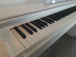 Цифровое пианино Casio Privia PX-770 White (PX-770WEC7) фото от покупателей 13