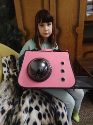 Сумка переноска для кошек и собак с иллюминатором CosmoPet CP-31 Pink