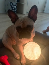 Ночник лампа Луна 3D - Настольный светильник луна Ночник детский Magic 3D Moon Lamp фото от покупателей 8