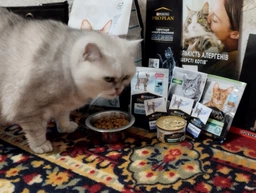 Сухой корм для стерилизованных кошек Purina Pro Plan Sterilised Senior 7+ с индейкой 10 кг фото от покупателей 15