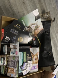 Сухой корм для стерилизованных кошек Purina Pro Plan Sterilised Senior 7+ с индейкой 10 кг фото от покупателей 14