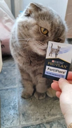 Сухой корм для стерилизованных кошек Purina Pro Plan Sterilised Senior 7+ с индейкой 10 кг фото от покупателей 13