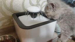 Автопоилка Автоматическая поилка фонтан для собак и кошек Pet Water FOUNTAIN фото от покупателей 4