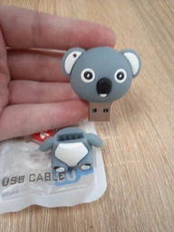 Жіночі фігурні флешки Dinosaur Driver 32GB Koala Gray фото від покупців 3