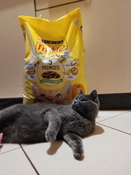 Сухой корм Purina Friskies для взрослых котов с курицей и овощами 10 кг фото от покупателей 8