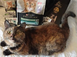Консервированный корм Purina Pro Plan Veterinary Diets Sterilised Кусочки в паштете с тунцом и лососем для стерилизованных кошек 85 г (8445290173287) фото от покупателей 10