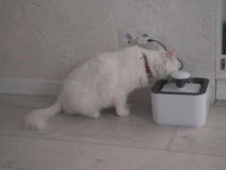 Автопоилка Автоматическая поилка фонтан для собак и кошек Pet Water FOUNTAIN фото от покупателей 3