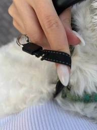 Повідець-рулетка Collar S для собак до 15 кг, 5 м Салатовий (81245) фото від покупців 1