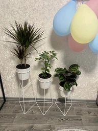 Комплект металлических подставок для цветов и вазонов Adore Décor "Скандинавские", черный фото от покупателей 1